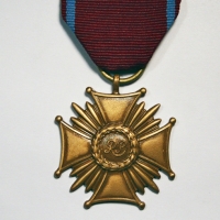Krzyż Zasługi jest cywilnym państwowym odznaczeniem nadawanym za szczególne zasługi dla Państwa lub obywateli. Został ustanowiony przez Sejm ustawą z dnia 23 czerwca 1923 roku i funkcjonuje do dnia dzisiejszego. Występuje w trzech stopniach: brązowym, srebrnym i złotym.